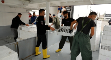 İri palamut Karadeniz'de balıkçının yüzünü güldürüyor