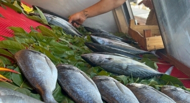 Karadeniz'den adeta fışkıran palamut hem balıkçıların hem de vatandaşların yüzünü güldürdü