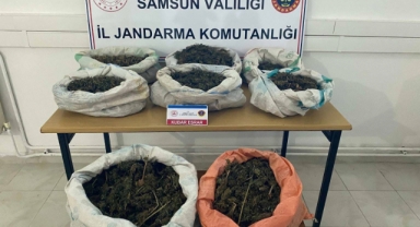 Ormanlık alandaki çadırda kilolarca esrar yakalandı