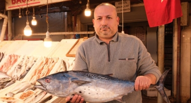 Dev balık bin 500 liradan alıcı buldu