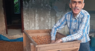 Fındık fiyatları fırladı! 50 randıman Giresun fındığı 140 TL