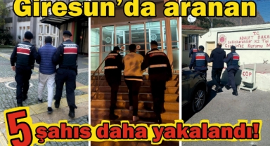Giresun’da aranan şahıslara göz açtırılmıyor!