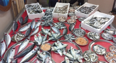 Giresun'da balık fiyatları bugün ne kadar?