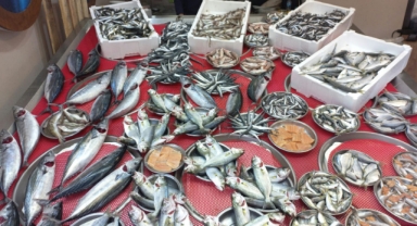 Giresun'da balık fiyatları bugün ne kadar?