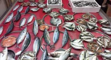 Giresun'da balık fiyatları bugün ne kadar?