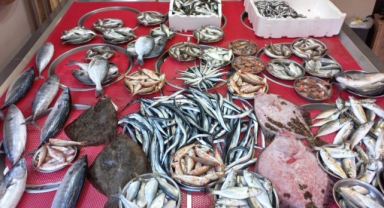Giresun'da balık fiyatları bugün ne kadar?