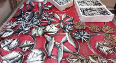 Giresun'da balık fiyatları bugün ne kadar?
