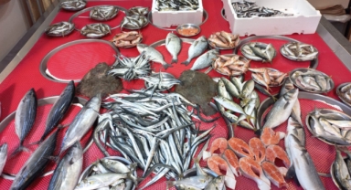Giresun'da balık fiyatları bugün ne kadar?