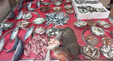 Giresun'da balık fiyatları kaç TL? Palamut ne kadara satılıyor?