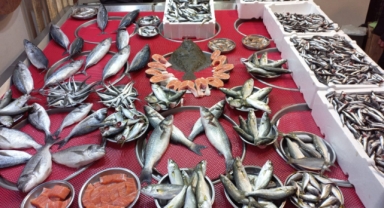 Giresun'da balık fiyatları kaç TL? Palamut ne kadara satılıyor?