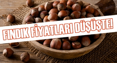 Giresun'da fındık fiyatları düşüşte! Fındık fiyatları ne kadar?