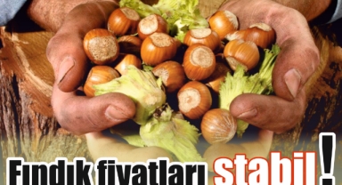 Giresun'da fındık fiyatları stabil! Fındık fiyatları kaç TL?