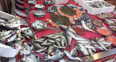 Giresun'da hamsi ne kadar? Balık fiyatları kaç TL?