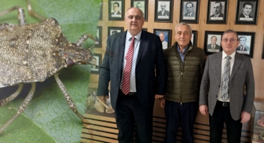 Giresun'da Kahverengi Kokarca Tehdidine Karşı Ortak Mücadele