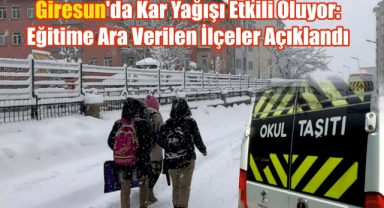 Giresun'da Kar Yağışı Etkili Oluyor: Eğitime Ara Verilen İlçeler Açıklandı