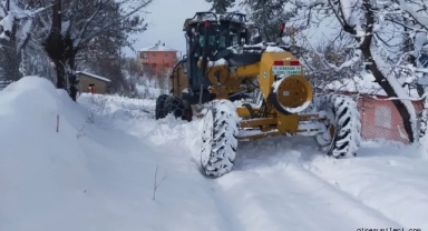 Giresun’da Karla Mücadele: 224 Köy Yolu Ulaşıma Açıldı, Çalışmalar Aralıksız Devam Ediyor