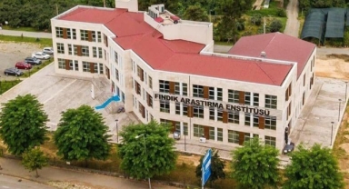 Giresun Fındık Araştırma Enstitüsü, Modern Tekniklerle Sağlıklı Fındık Fidanı Üretiyor