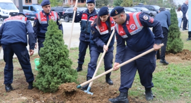 Giresun İl Jandarma Komutanlığı’ndan Milli Ağaçlandırma Gününe Destek
