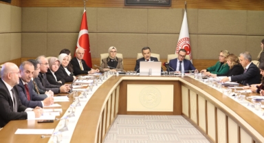 Giresun Milletvekili Elmas, Çocukların Korunması İçin Kurulan Komisyonun İlk Toplantısına Katıldı