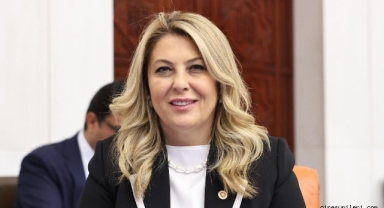 Giresun Milletvekili Gezmiş, Havaalanı Güvenliği, İlaç Krizi ve Yoksulluk Sorunlarına Dikkat Çekti