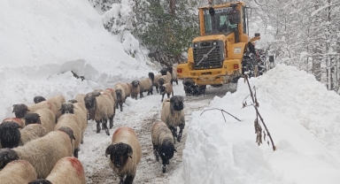 Giresun, Rize, Artvin, Ordu, Bayburt ve Gümüşhane'de karla mücadele çalışmaları sürüyor