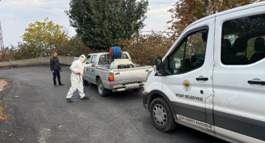 Giresun'un Keşap İlçesinde Kahverengi Kokarca ile Mücadele Sürüyor
