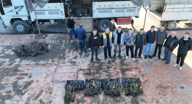 Giresun’un O İlçelerinde Çiftçilere Sertifikalı Maviyemiş Fidanı Dağıtıldı