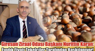 Giresun Ziraat Odası Başkanı Nurittin Karan: Fındık Fiyatı Tekelciler Tarafından Baskılanıyor!