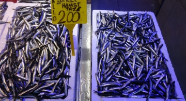Palamut ve hamsi arasındaki ihracat rakamları şaşırttı