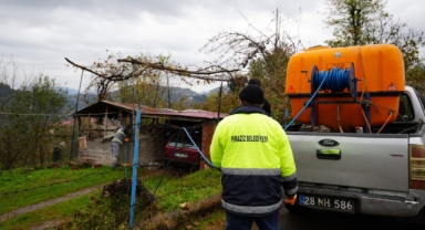 Piraziz'de Kahverengi Kokarca Tehdidine Karşı Kapsamlı Mücadele: Yoğun İlaçlama Çalışmaları Başlatıldı