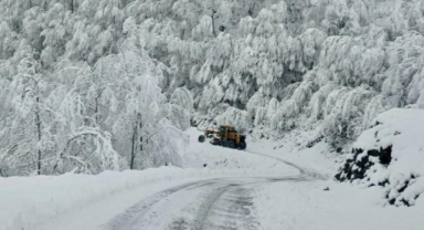 Samsun’da 14 ilçede eğitime ara verildi