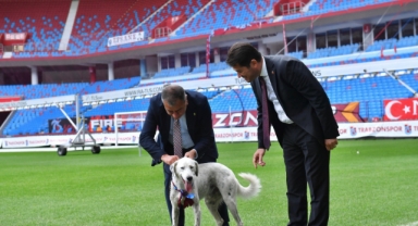 Trabzonspor-Fenerbahçe maçında sahaya girerek bütün dikkatleri üzerine çekti... Trabzonspor'a transfer oldu