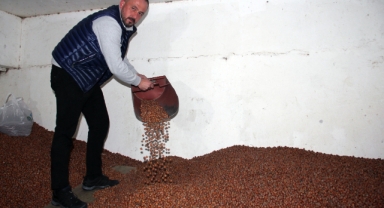 Fındık fiyatları sabit mi kalacak? Giresun’da fındık piyasası analizi