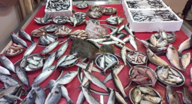 Giresun'da 100 liraya da 1.500 liraya da balık var: Balık fiyatları ne kadar?