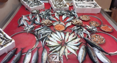 Giresun'da balık fiyatları bugün ne kadar?