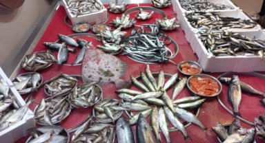 Giresun'da balık fiyatları bugün ne kadar?