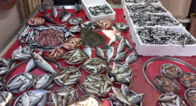 Giresun'da balık fiyatları bugün ne kadar?
