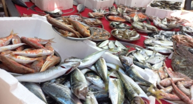 Giresun'da balık fiyatları bugün ne kadar?