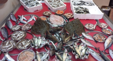 Giresun'da Balık Fiyatları Bugün Ne Kadar? Palamut ve Hamsi Kaç TL?