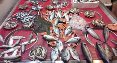 Giresun'da balık fiyatları kaç TL?