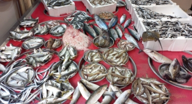 Giresun'da balık fiyatları kaç TL? Hamsi ne kadara satılıyor?