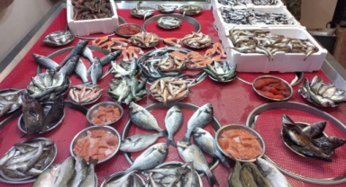 Giresun'da balık fiyatları kaç TL? Hamsi ne kadara satılıyor?