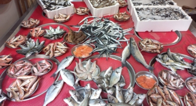 Giresun'da balık fiyatları kaç TL? Hamsi ne kadara satılıyor?
