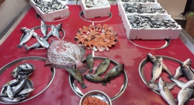 Giresun'da balık fiyatları kaç TL? Hamsi ne kadara satılıyor?