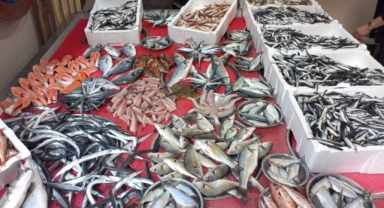 Giresun'da balık fiyatları ne kadar? Hamsi ve palamut kaç TL'ye satılıyor?
