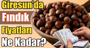 Giresun'da fındık fiyatları yükseldi mi? Fındık fiyatları kaç TL?
