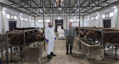 Giresun’da Hayvancılıkta Yeni Dönem: Hastalıktan Ari İşletmeler Çoğalıyor