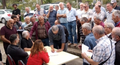 Giresun’da Kahverengi Kokarca İle Kapsamlı Mücadele: İlaçlama ve Eğitim Çalışmaları Yürütülüyor