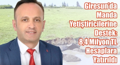 Giresun’da Manda Yetiştiricilerine Destek Ödemesi: 8,4 Milyon TL Hesaplara Yatırıldı