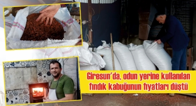 Giresun'da odun yerine kullanılan fındık kabuğunun fiyatları düştü